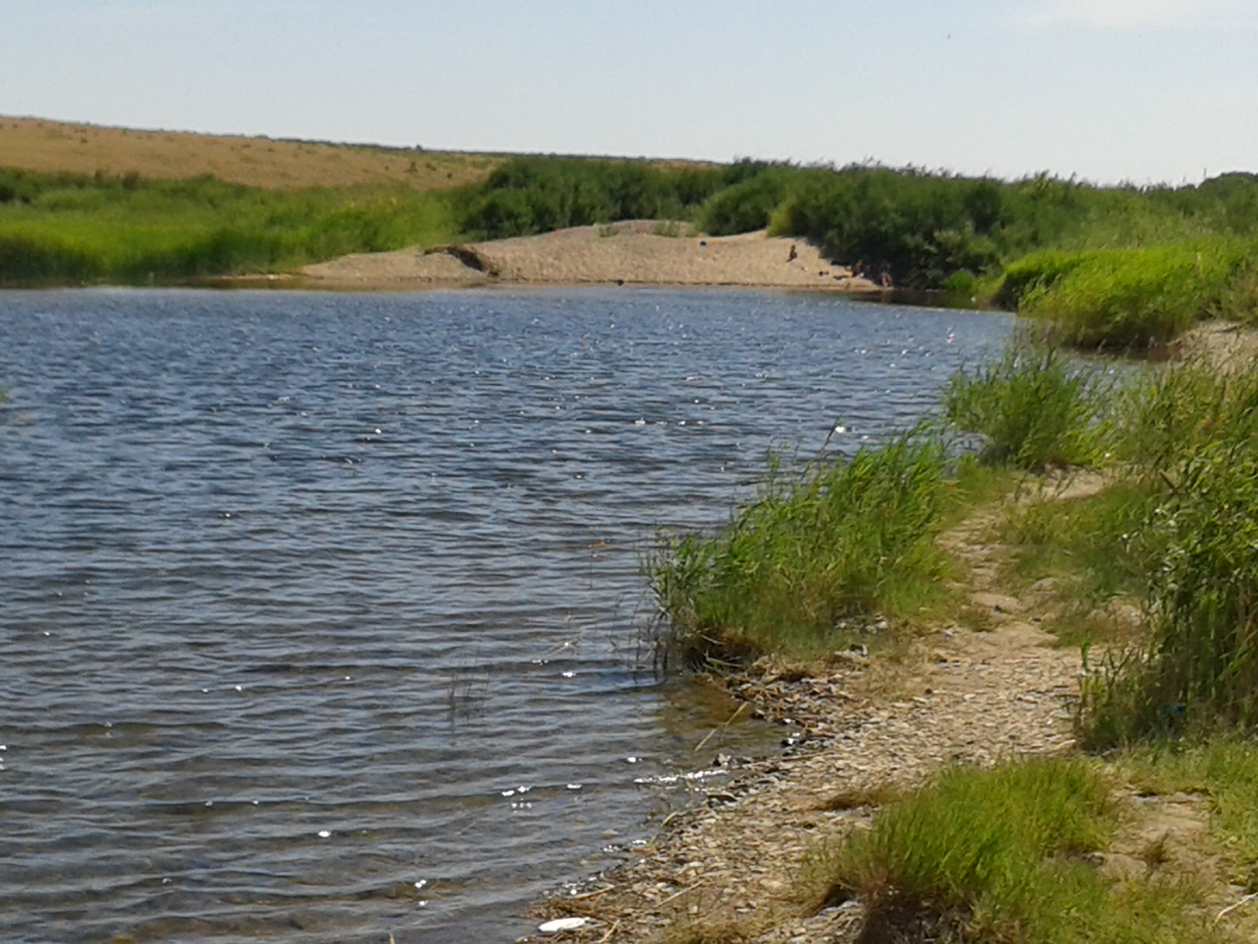Есть ли река тобол. Река Тобол Курганская область. Река Тобол в Казахстане. Река Тобол Костанай. Река Тобол Денисовка.